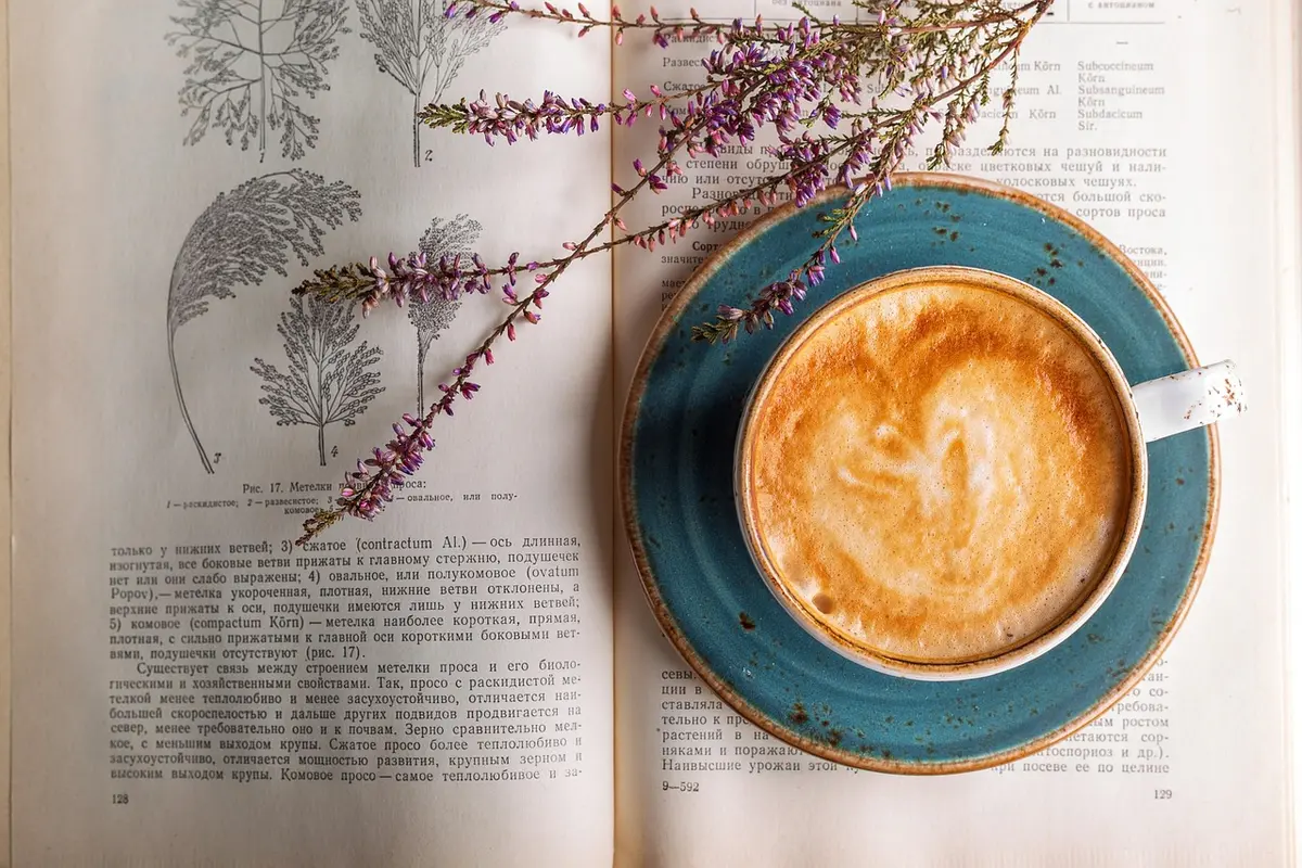 Coin lecture confortable avec tasse et livre pour le week-end